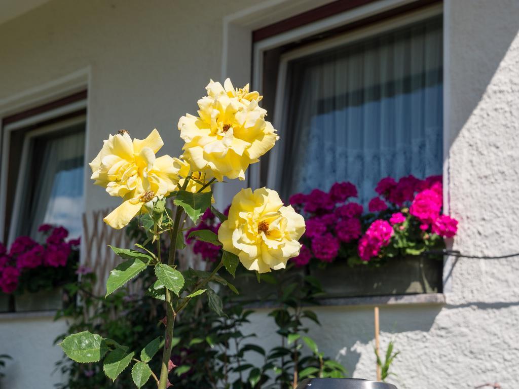Guesthouse Pension Grafenstein Hotel