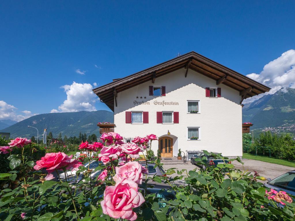 Hotel Grafenstein 3*