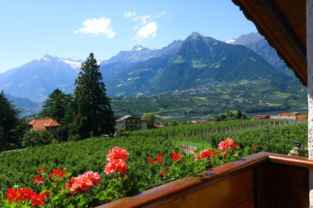 Guesthouse Pension Grafenstein 3*